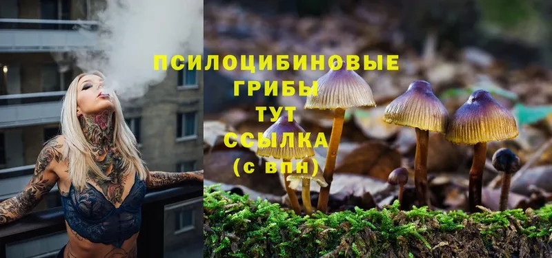 как найти закладки  Мантурово  Псилоцибиновые грибы Psilocybe 